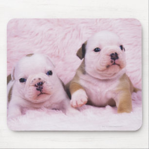 Mousepad Buldogue; chamou frequentemente o buldogue inglês