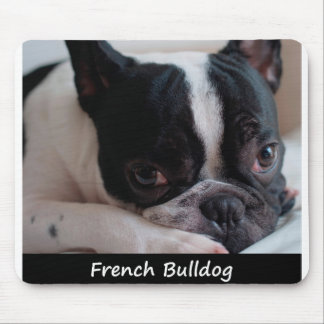 Mousepad Buldogue francês