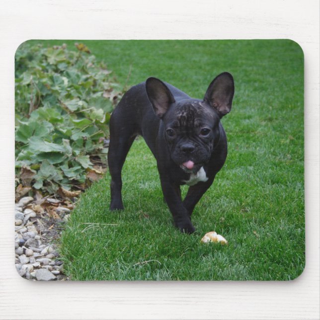 Mousepad Buldogue Francês (Frente)