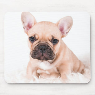 Mousepad Buldogue francês