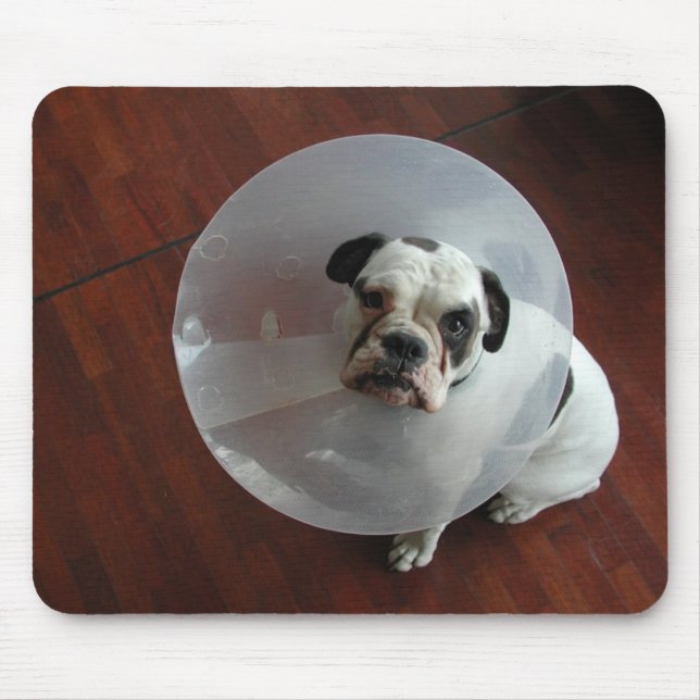 Mousepad Buldogue Francês (Frente)