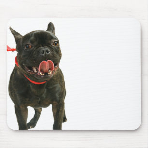 Mousepad Buldogue francês