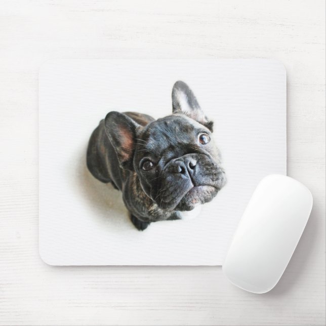 Mousepad Buldogue Francês (Com mouse)