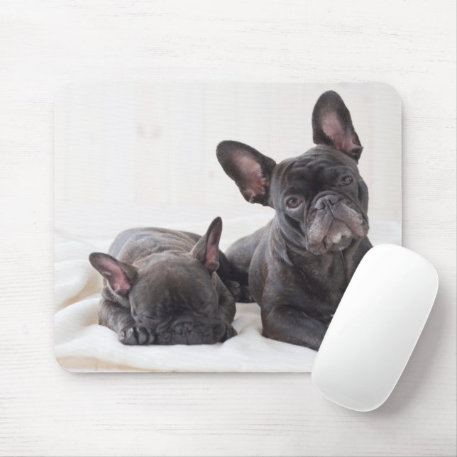 Mousepad Buldogue Francês Bonito (Com mouse)
