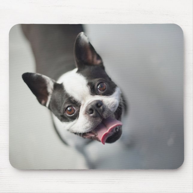 Mousepad Buldogue francês das imagens | de Getty (Frente)