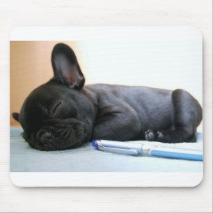 Mousepad buldogue francês puppy.png