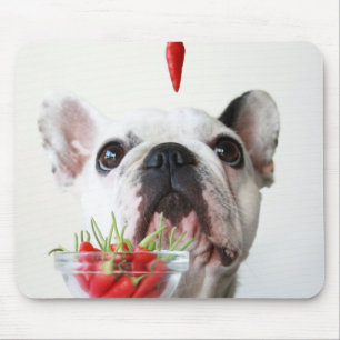 Mousepad Buldogue francês que olha uma pimenta vermelha