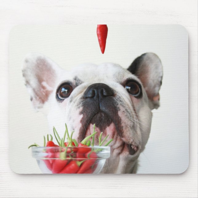 Mousepad Buldogue francês que olha uma pimenta vermelha (Frente)