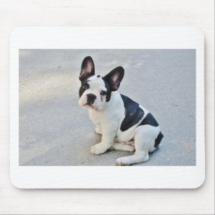 Mousepad buldogue francês sentado
