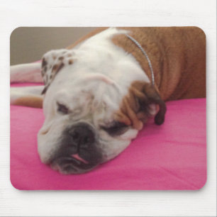 Mousepad Buldogue inglês