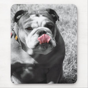 Mousepad buldogue inglês