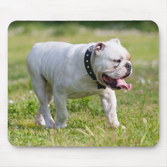 Mousepad Buldogue inglês (Frente)
