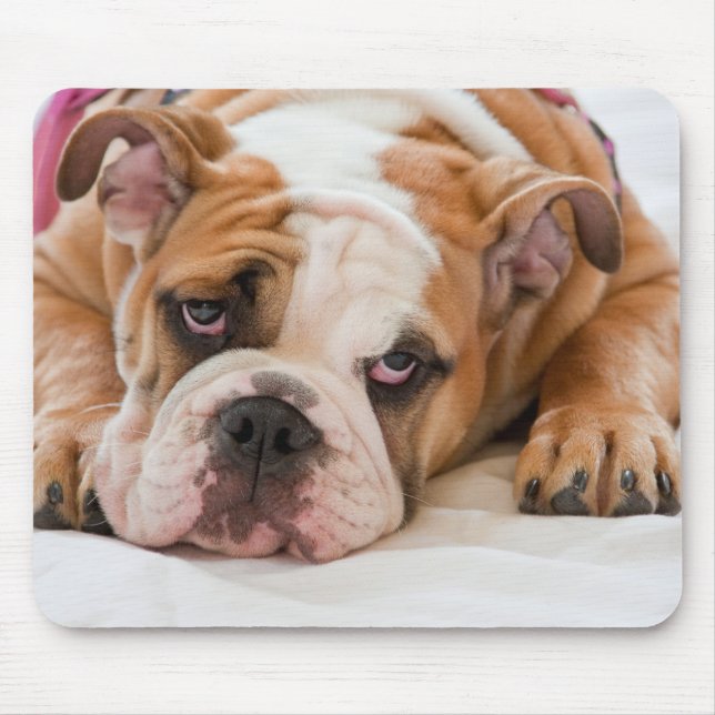 Mousepad Buldogue inglês (Frente)