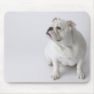 Mousepad Buldogue inglês branco