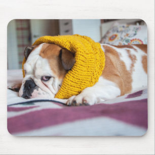 Mousepad Buldogue inglês das imagens de Getty