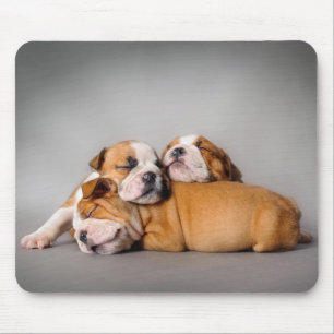 Mousepad Buldogue Inglês Dormindo