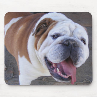 Mousepad Buldogue inglês velho