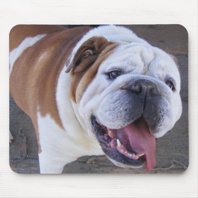 Mousepad Buldogue inglês velho (Frente)
