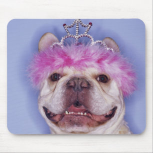 Mousepad Buldogue que veste a tiara