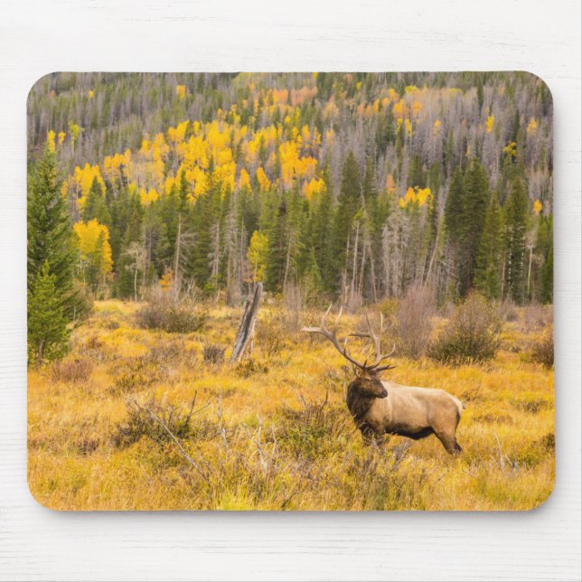 Mousepad Bull Elk | Rocky Mountain National Park Colorado (Frente)
