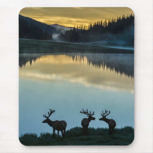 Mousepad Bull Elks Silhouetet Poudre Lake Sunrise (Frente)