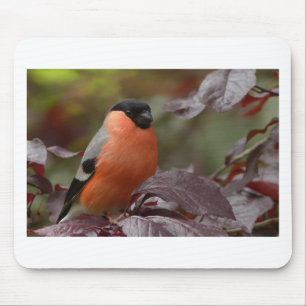 Mousepad Bull Finch