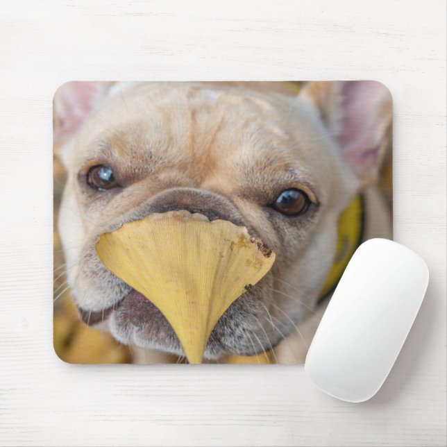 Mousepad Bulldog Francês Adorável (Com mouse)