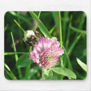 Mousepad Bumble Bee em Red Clover