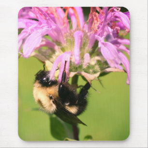 Mousepad Bumble Bee Na Flor Do Balm De Abelhas