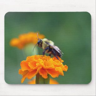 Mousepad Bumble Bee Ocupado