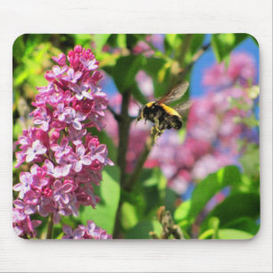 Mousepad Bumble Bee pousando em Lilacs