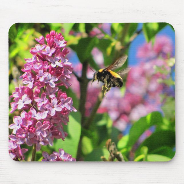 Mousepad Bumble Bee pousando em Lilacs (Frente)