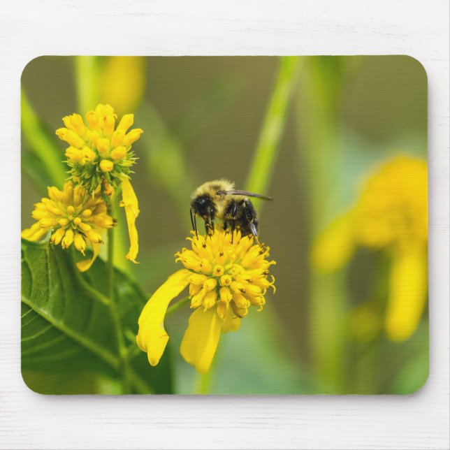 Mousepad Bumblebee (Frente)