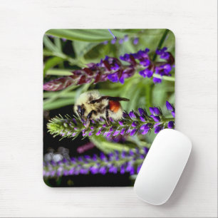 Mousepad Bumblebee Central com Planta de Flor