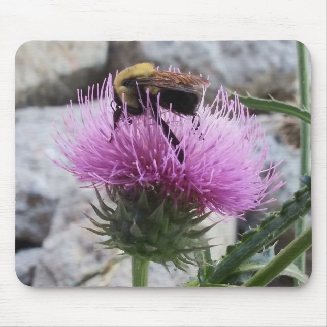 Mousepad Bumblebee colhendo uma flor de tristes roxas (Frente)