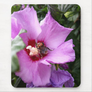 Mousepad Bumblebee na Flor de Hibiscus