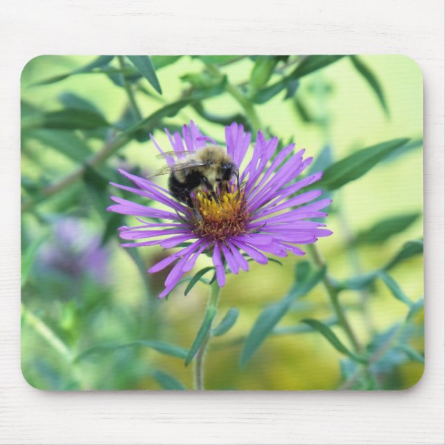 Mousepad Bumblebee na margarida roxa (Frente)