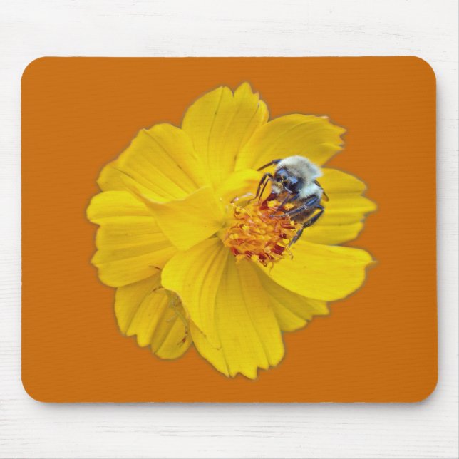 Mousepad Bumblebee no Cosmos (Frente)