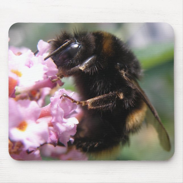 Mousepad Bumblebee Ocupado e Flores Rosa (Frente)