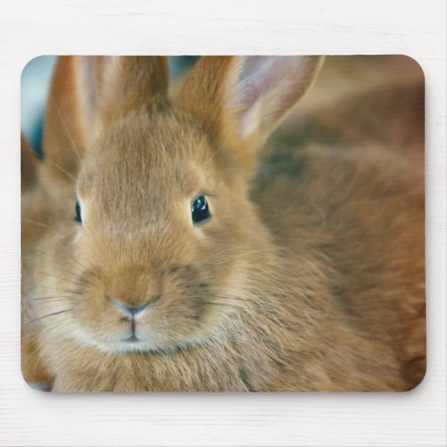 Mousepad Bunny Rabbit (Frente)