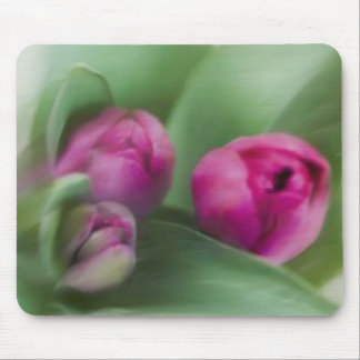 Mousepad Buquê da tulipa