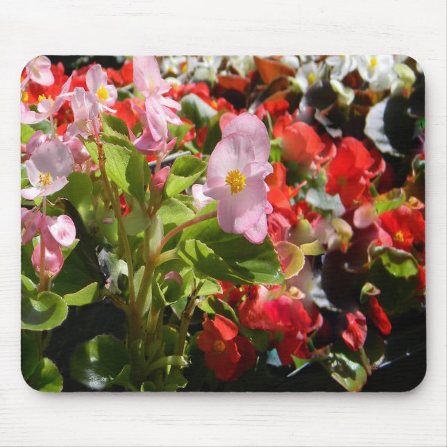 Mousepad Buquê de Begonias... (Frente)