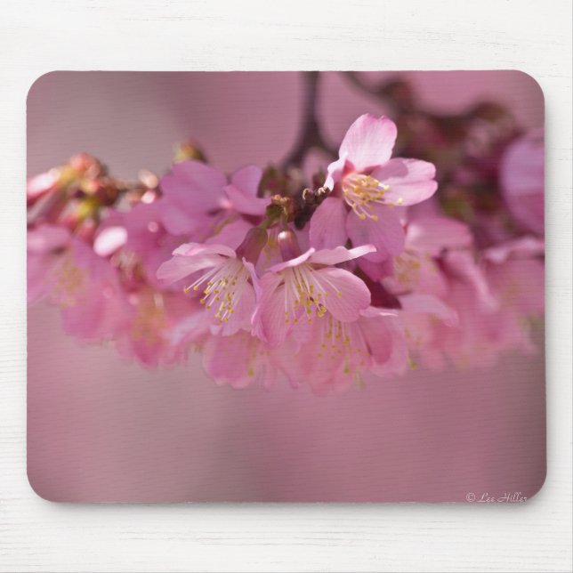 Mousepad Buquê Delicado Rosa de Flores de Cerejeira Sakura (Frente)
