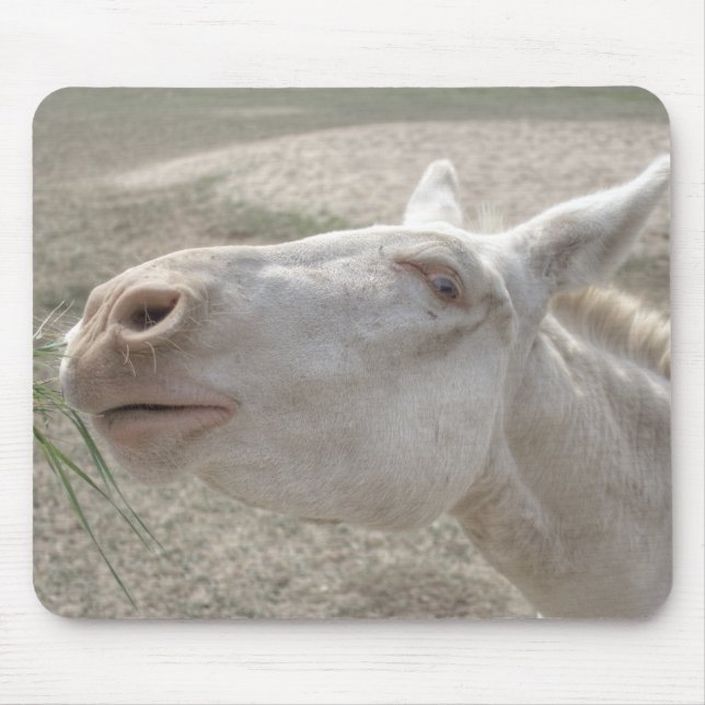 Mousepad Burro Branco Austríaco-Húngaro (Frente)