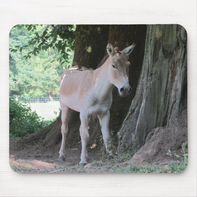 Mousepad Burro Pequeno (Frente)