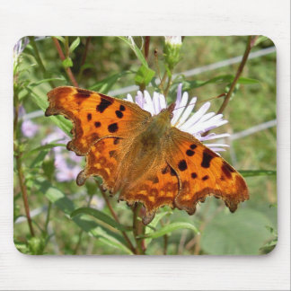 Mousepad Busepad Borboleta: Vírgula