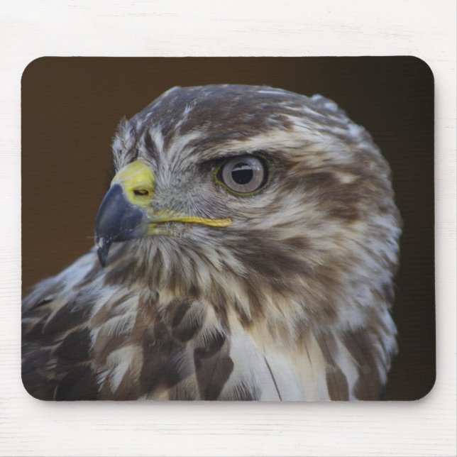 Mousepad Buteo buteo (Frente)
