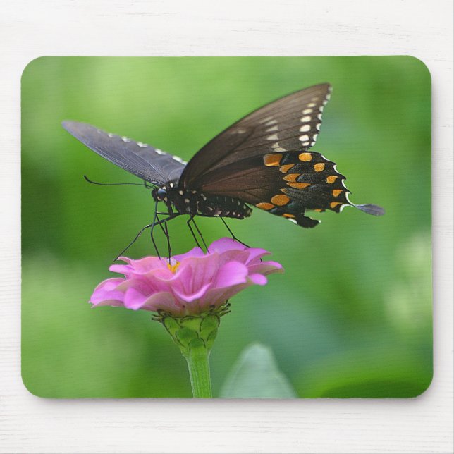 Mousepad Butterfly (Frente)
