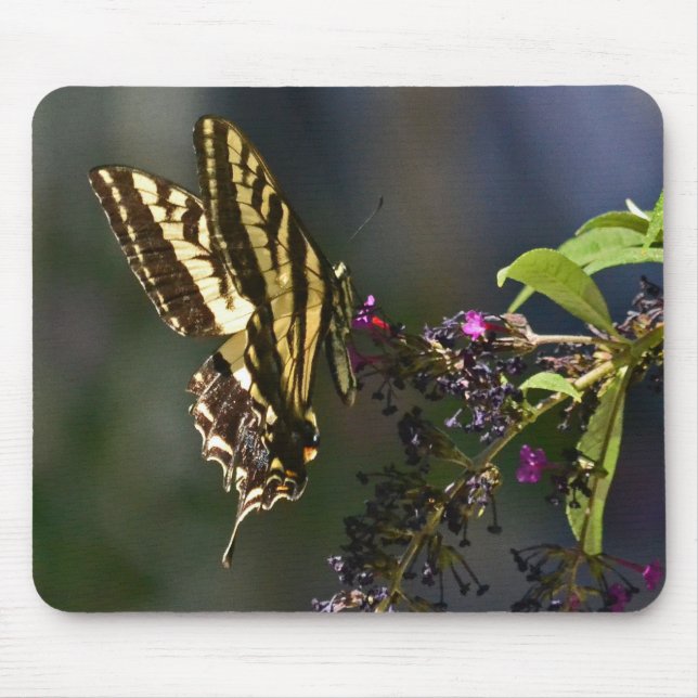 Mousepad Butterfly (Frente)