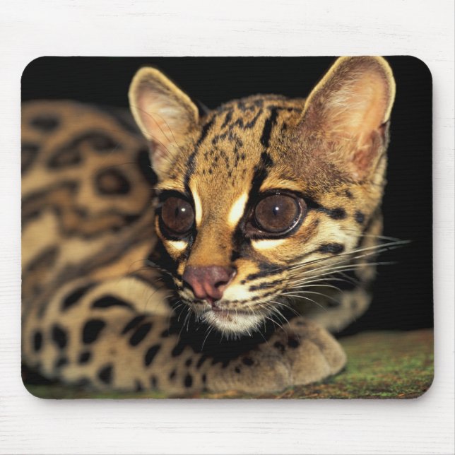 Mousepad CA, Panamá Central, Parque Nacional Soberania, Mar (Frente)